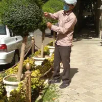 باغبانی سمپاشی هرسکاری تعویض خاک گلدون تمام تهران