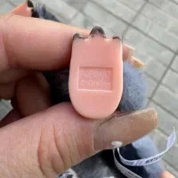 عروسک لبوبو لابوبو لبو بو ۳۳۰هزارتومان اصل بیواسط|اسباببازی|رفسنجان, |دیوار