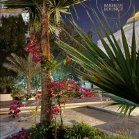 سالن‌ کار سالنکار