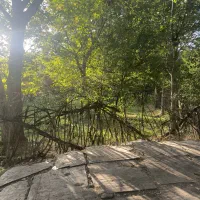 باغ با انواع میوه|فروش دفتر صنعتی، کشاورزی، تجاری|نهاوند, |دیوار