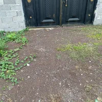 243مترزمین٪نزدیک به گلسار٪امروز بخر فردابساز|فروش زمین و ملک کلنگی|رشت, بلوار گیلان|دیوار