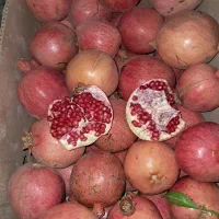 انار  اب دار.دونه قرمز