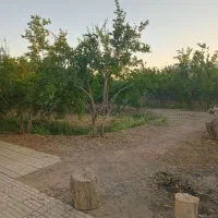 باغ انار همراه با خانه فردوس خراسان جنوبی