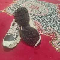 کفش سایز38|کیف، کفش، کمربند|فسا, |دیوار