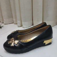 کفش و صندل|کیف، کفش، کمربند|شهرضا, |دیوار