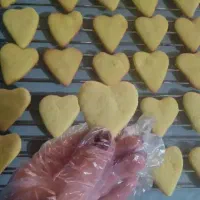 کوکی و کیکای کافی شاپی