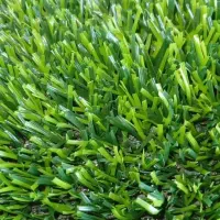 پخش و اجرا انواع چمن مصنوعی و فنس چمن|مصالح و تجهیزات ساختمان|تهران, شهرک فردوس (حسینی)|دیوار