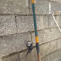 چوب و چرخ ماهیگیری