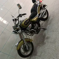 هارلی مدرک