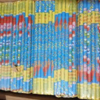 لوازم آتشبازی مجاز پخش