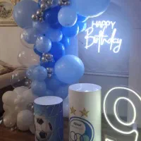 همه مدل تم تولد خردسال|اسباببازی|تهران, سردارجنگل|دیوار