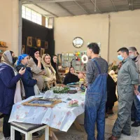 همکار جهت تولید محتوا