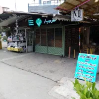 اجاره-بازار-روز-رشت