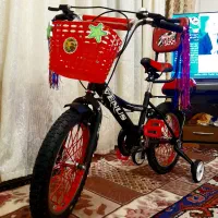 دوچرخه درحدنواسپورتی حرفه ای  سایز 16ونوس