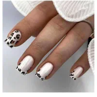 استخدام ناخنکار