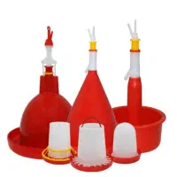 دان خوری و آبخوری جوجه و مرغ