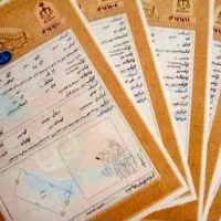 زمین سندار /بنفشه دره/  القیر /زردالو/ اردبیل