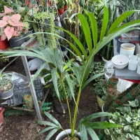 راهنمایی امر مقدس ازدواج