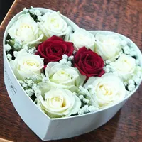 باکس گل ۱۱ عددی رز هلندی