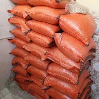 لوبیا چشم بلبلی