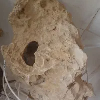 سنگ آکواریوم  سنگین|ماهی|قم, پردیسان|دیوار