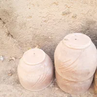 گلدان|گل و گیاه طبیعی|میبد, |دیوار