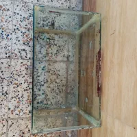 آکواریوم توضیحات بخون|ماهی|ایذه, |دیوار