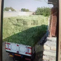 یونجه انباری|خدمات باغبانی و درختکاری|دشتابی, |دیوار