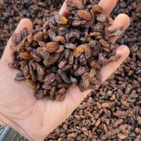 کشمش آفتابی بیدانه|خوردنی و آشامیدنی|قم, میرزائیه|دیوار