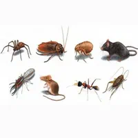 مرکزسم پاشی وضدعفونی سمپاشی تمامی حشرات|خدمات نظافت|کرمانشاه, |دیوار