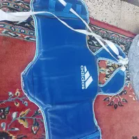 هوگوی کونگفو رایگان