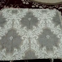 جلد پشتی