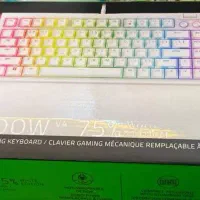 کیبرد گیمینگ black widow v4 75%|قطعات و لوازم جانبی رایانه|تهران, دکتر هوشیار|دیوار