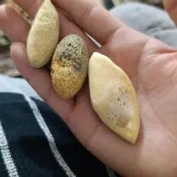 مهره شانس یک مقدار موجود هست بفروش میرسد