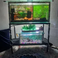دو عدد اکواریوم با لوازم