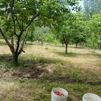 ۲۰۰ متر زمین نوشهر