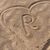 زمین برای ساخت دامداری