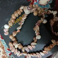 بدلیجات|بدلیجات|رشت, چله خانه|دیوار