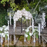 بادکنک آرایی، گل آرایی و میزآرایی فقط ۶۰۰|خدمات پذیرایی، مراسم|شیراز, باغ تخت|دیوار