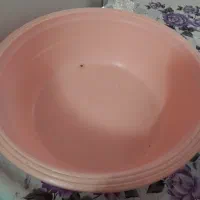 لگن و سطل برنج، نونو|ظروف نگهدارنده، پلاستیکی، یک‌بارمصرف|مشهد, خواجه ربیع|دیوار