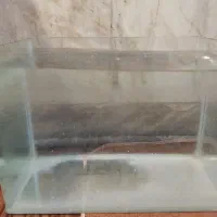 اکواریوم شیشه خم