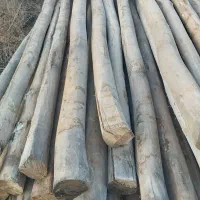 چوب|ابزارآلات|میاندوآب, |دیوار