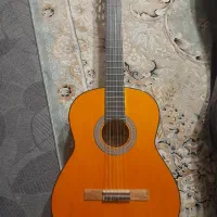 دو عدد گیتار