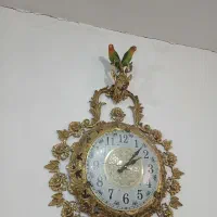 کوتوله برزیلی