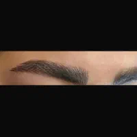 میکرو پیکمنتیشن ابرو و شیدلب و رفع تیرگی لب|خدمات آرایشگری و زیبایی|بندرعباس, |دیوار