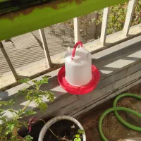 آبخوری و دونخوری بزرگ|حیوانات مزرعه|تهران, پاسداران|دیوار