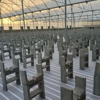 زیر بستر کشت گلخانه بتنی