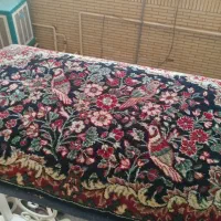 پشتی طرح کپک تمیز|پشتی|رفسنجان, |دیوار
