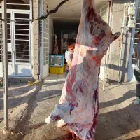 سوپر گوشت رستمی