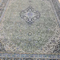 فرش|فرش|شیراز, زرهی|دیوار